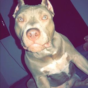 Meet your Posher, Brittany